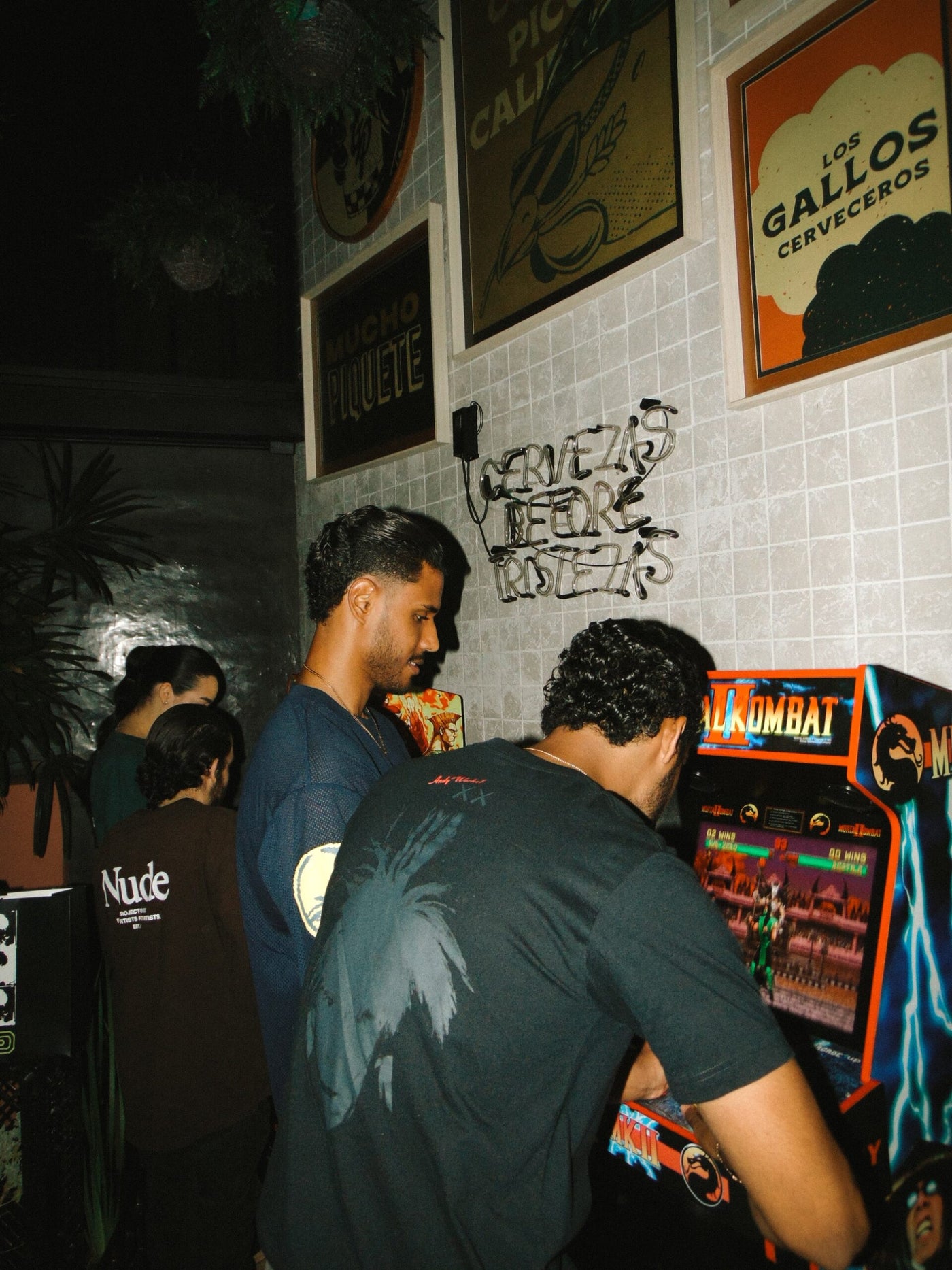 Stained X Gallo Pelon