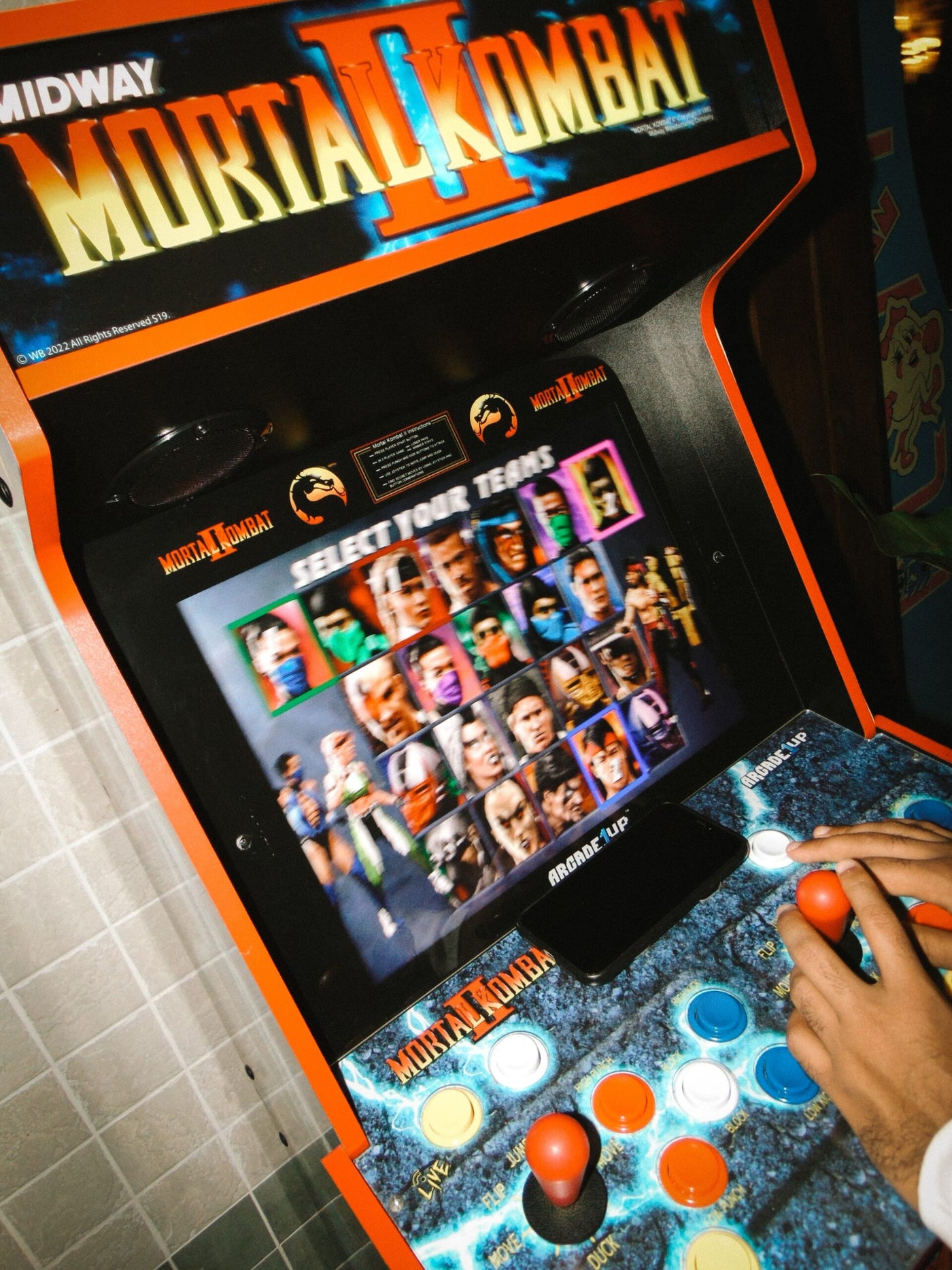 Stained X Gallo Pelon