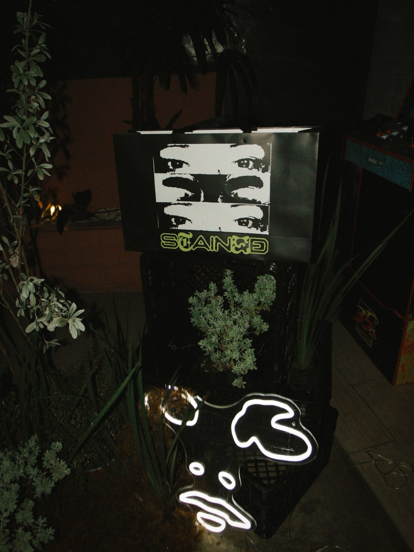 Stained X Gallo Pelon