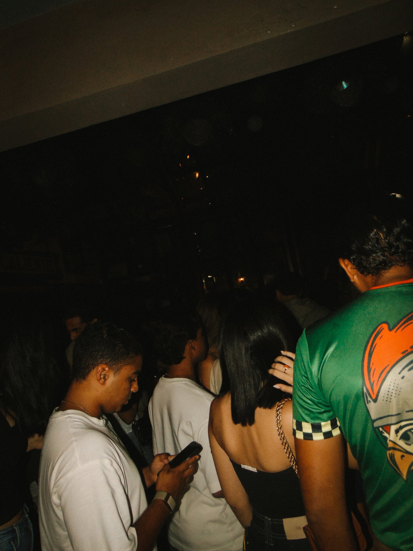 Stained X Gallo Pelon