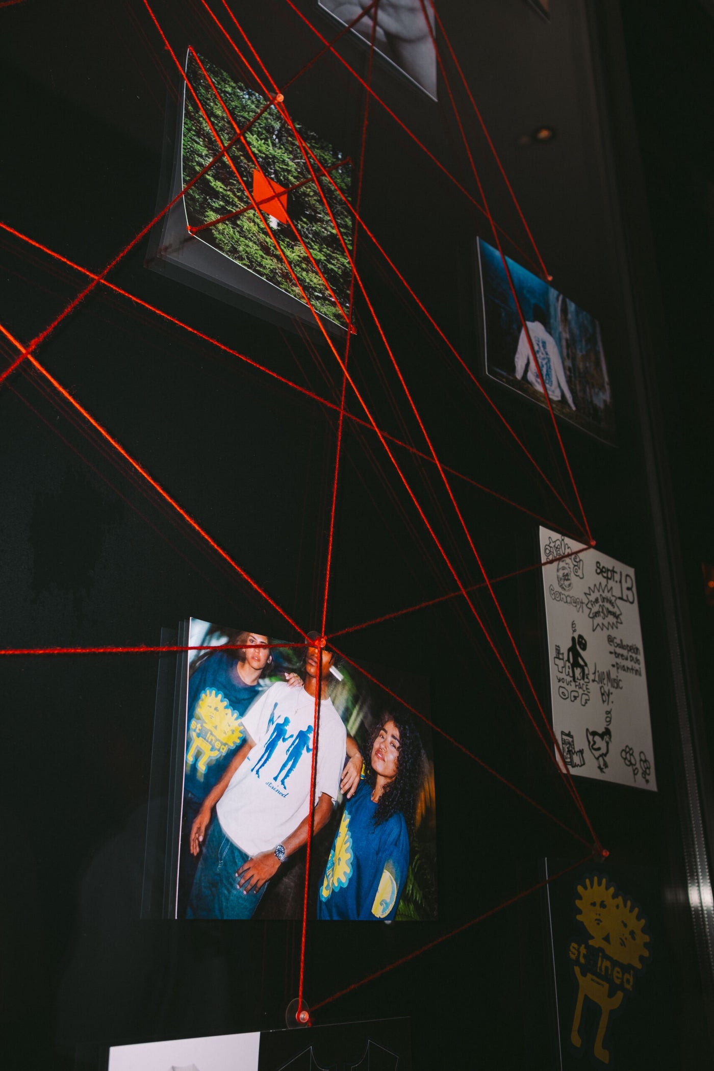 Stained X Gallo Pelon