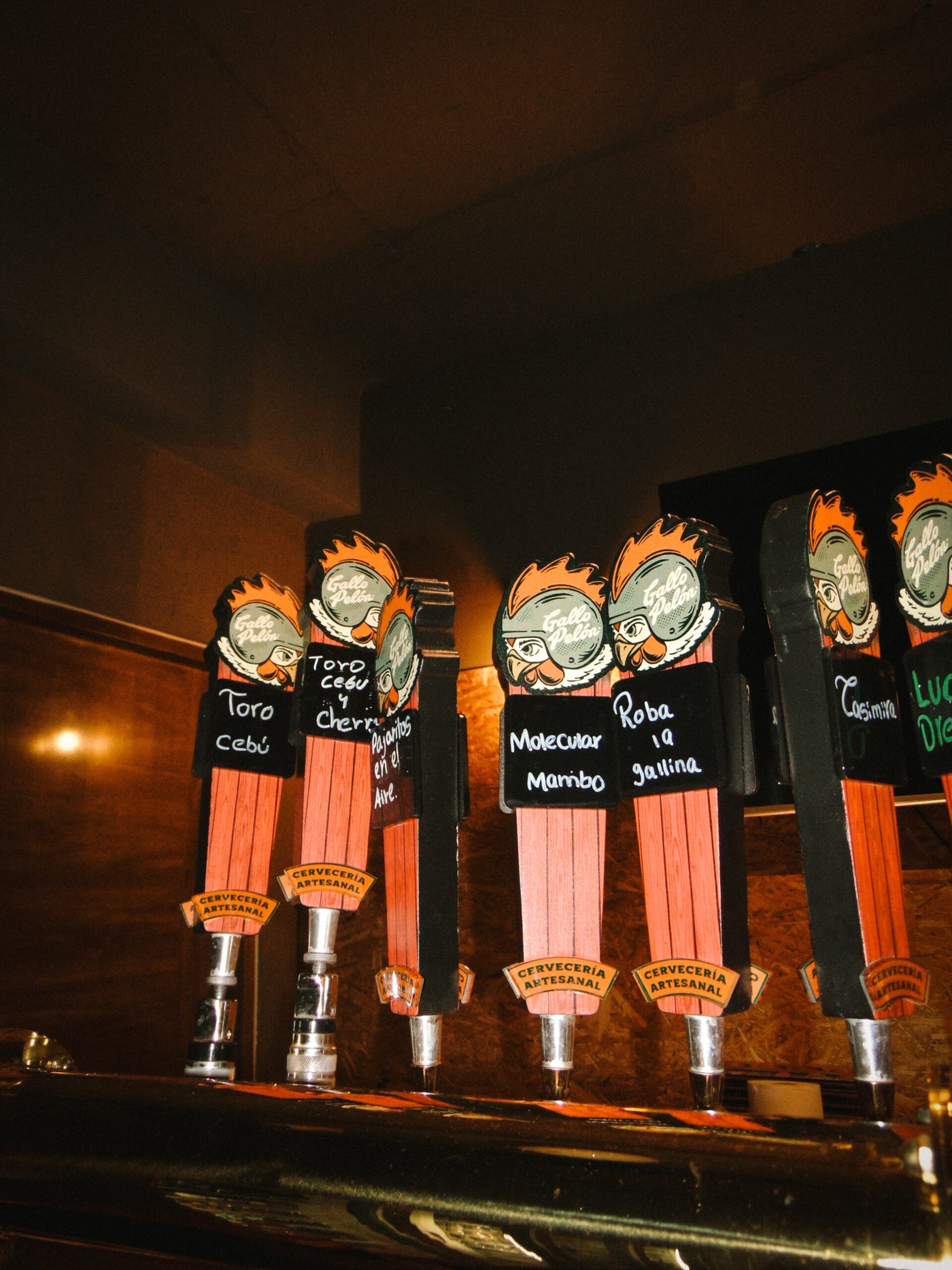 Stained X Gallo Pelon