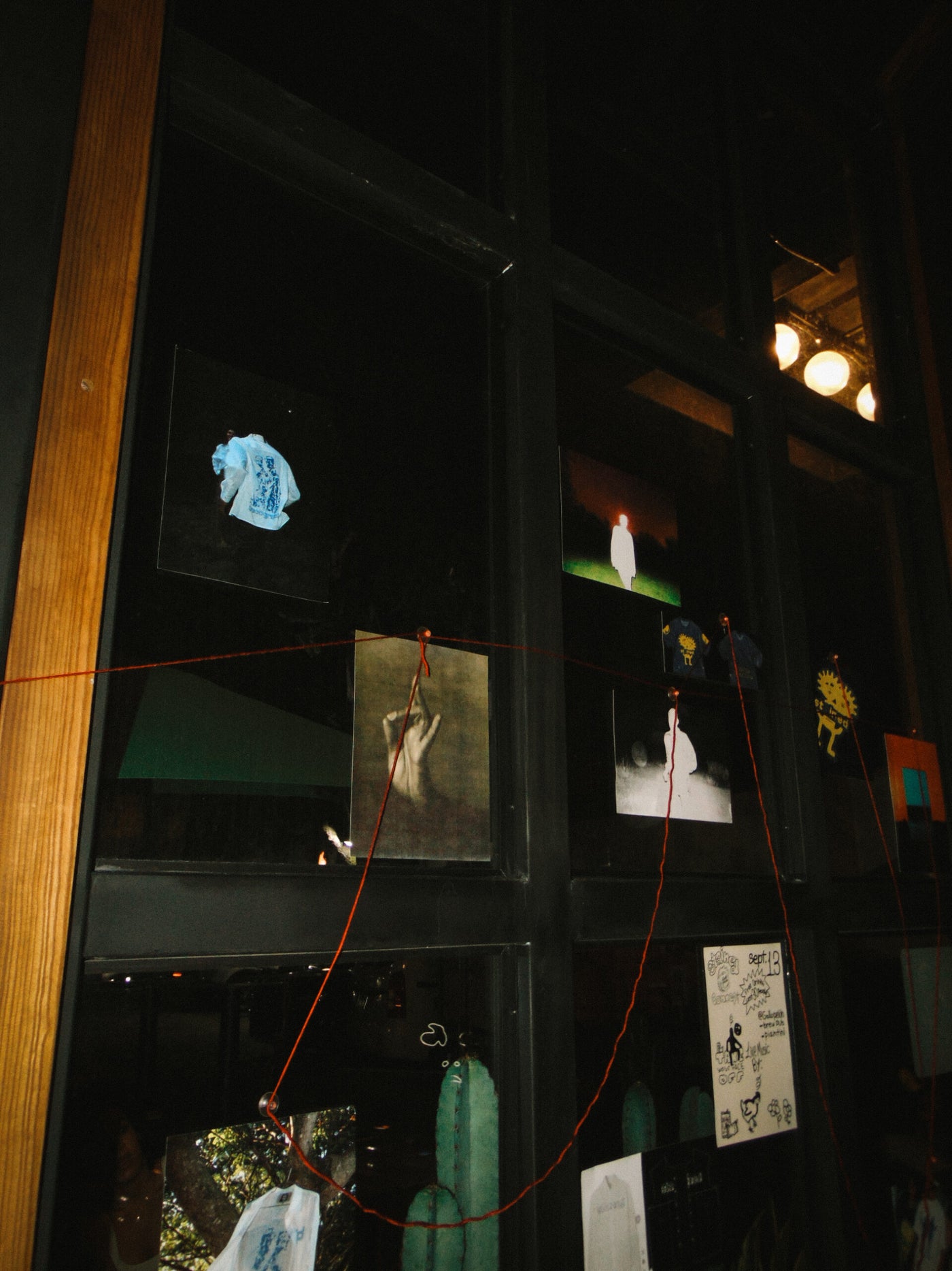 Stained X Gallo Pelon