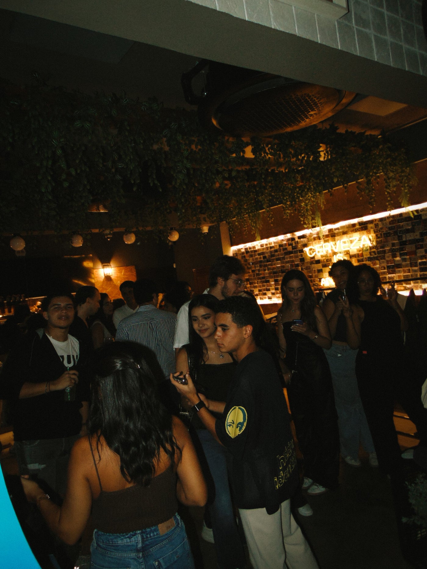 Stained X Gallo Pelon