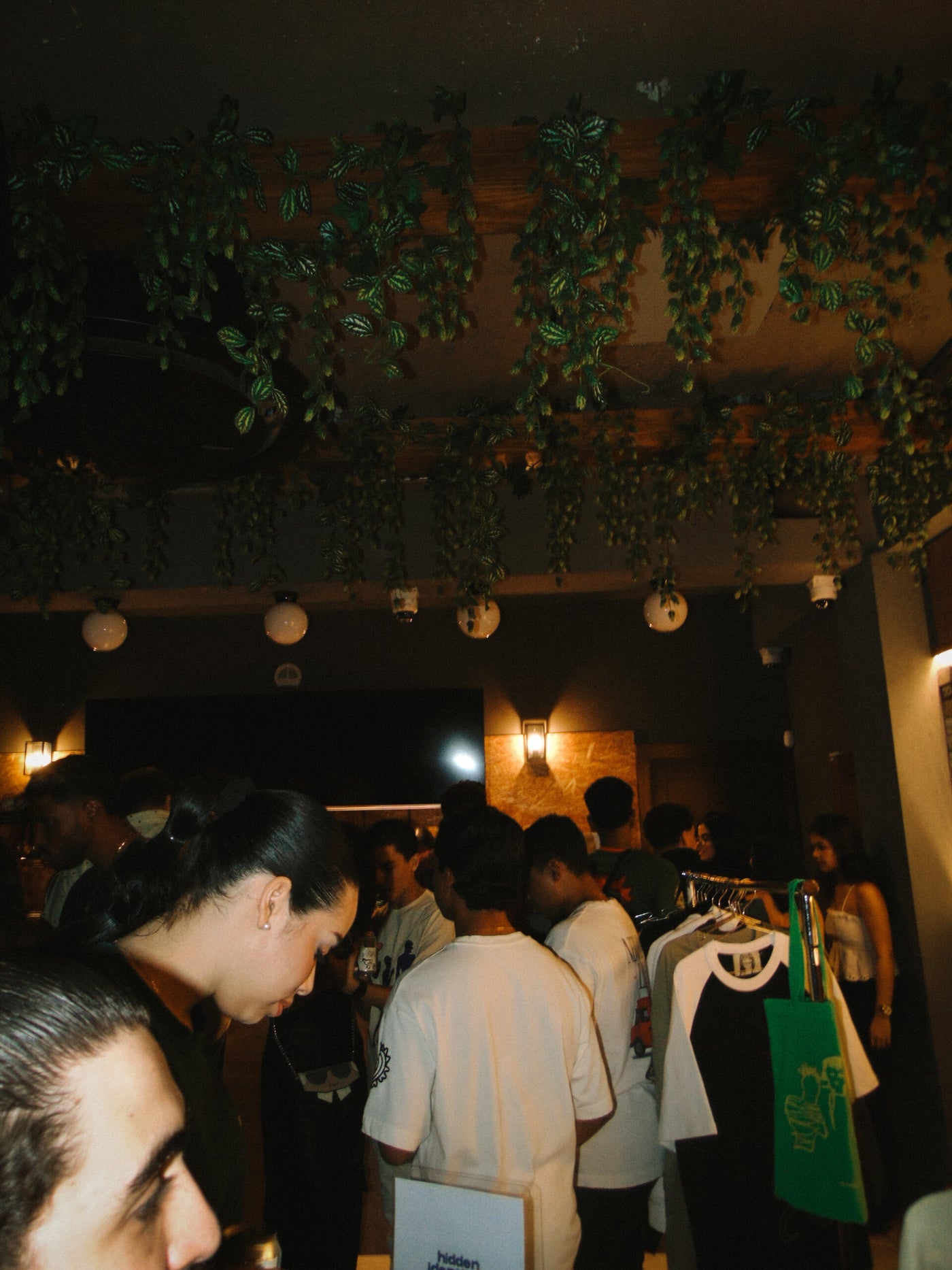 Stained X Gallo Pelon