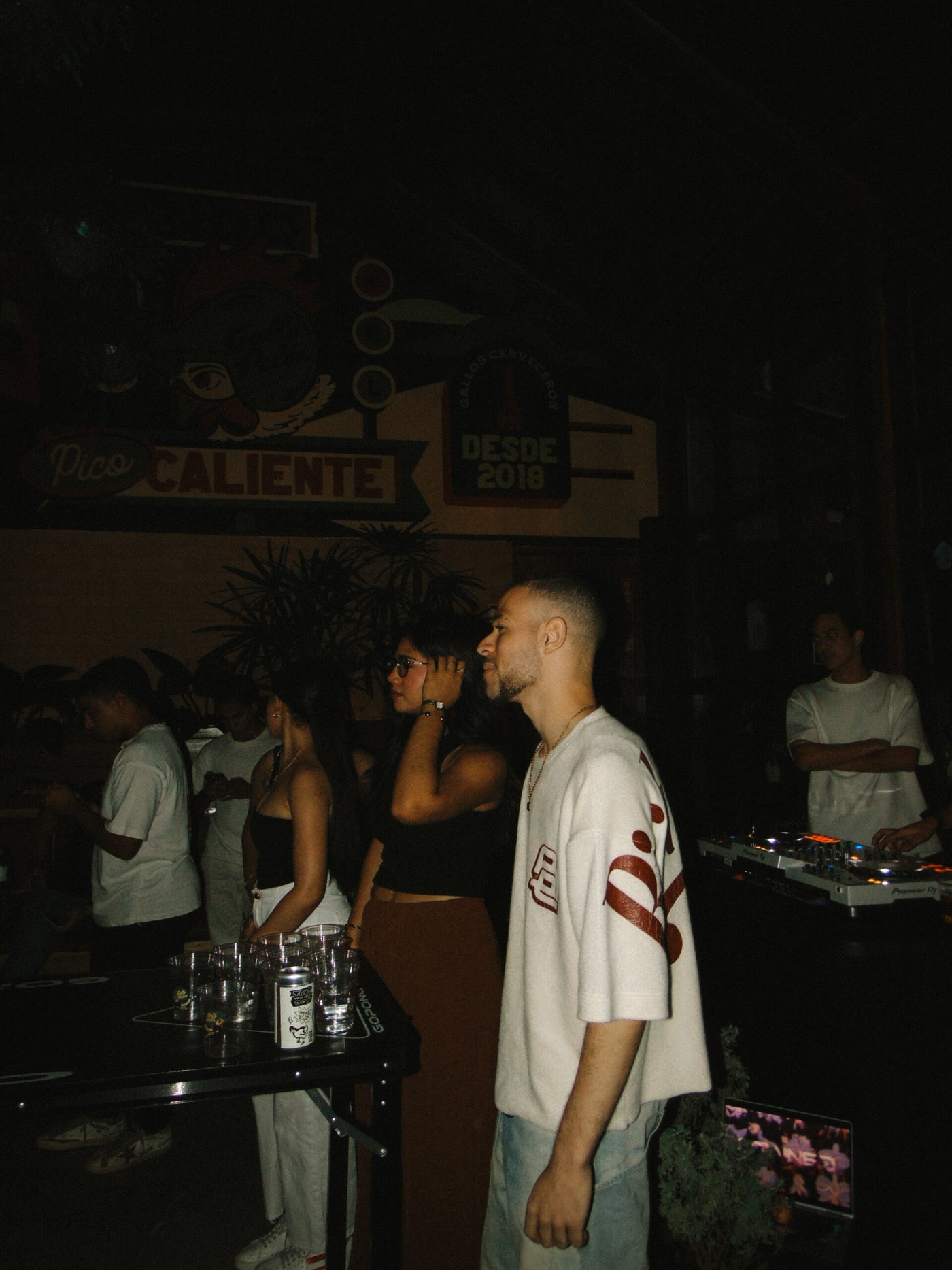 Stained X Gallo Pelon