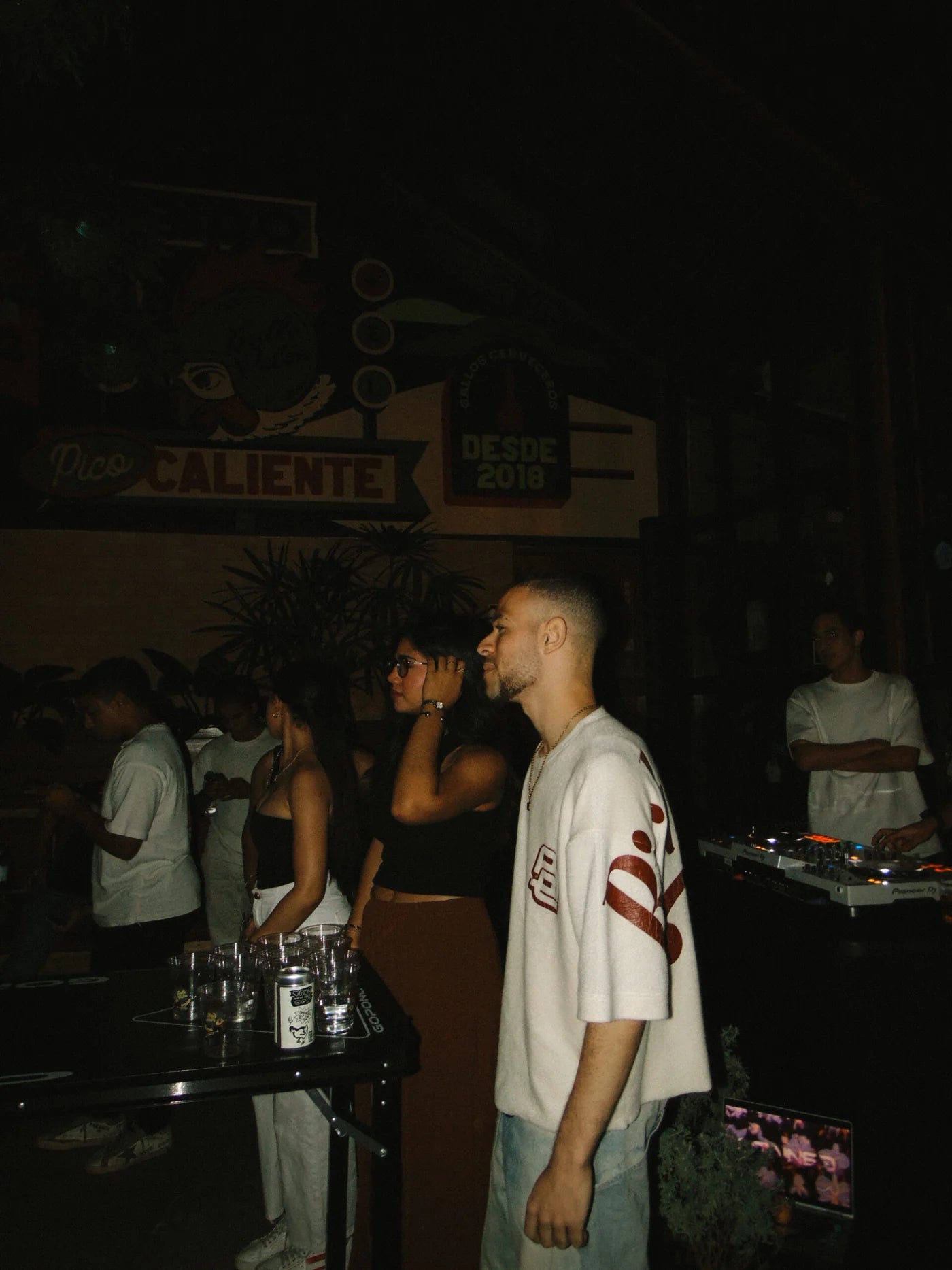 Stained X Gallo Pelon