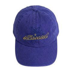 DEEP BLUE HAT